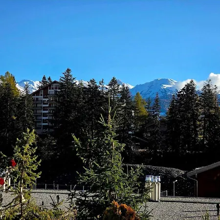 Avec Terrasse Et Piscine - Aux Petits Sapins Apartment