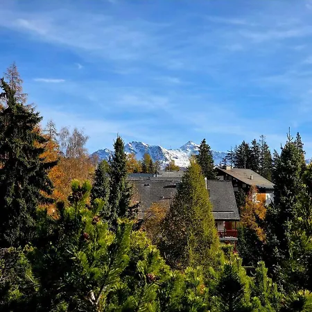 Apartment Avec Terrasse Et Piscine - Aux Petits Sapins *