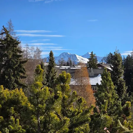 Avec Terrasse Et Piscine - Aux Petits Sapins * Crans-Montana