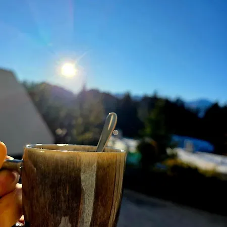 Avec Terrasse Et Piscine - Aux Petits Sapins Crans-Montana